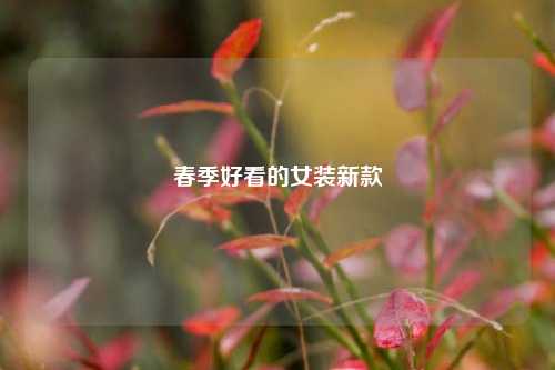 春季好看的女装新款