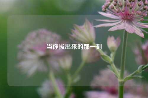 当你拔出来的那一刻