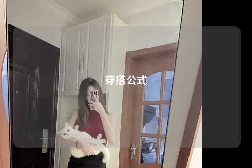 穿搭公式
