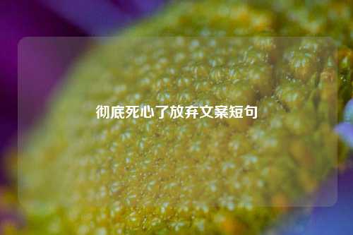 彻底死心了放弃文案短句