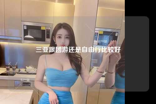 三亚跟团游还是自由行比较好