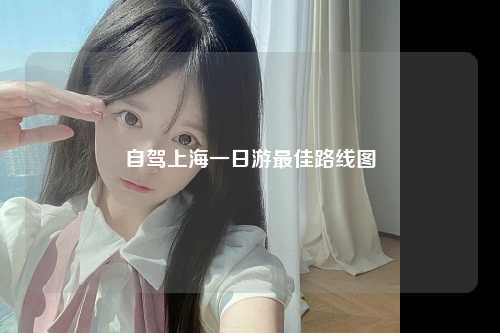 自驾上海一日游最佳路线图