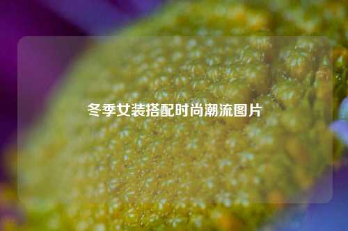 冬季女装搭配时尚潮流图片