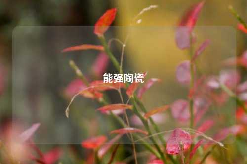 能强陶瓷