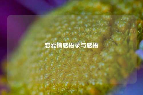 恋爱情感语录与感悟