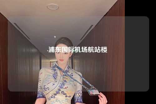 浦东国际机场航站楼
