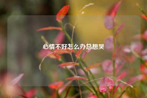 心情不好怎么办总想哭
