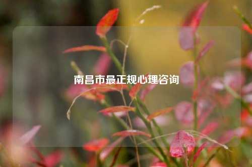 南昌市最正规心理咨询