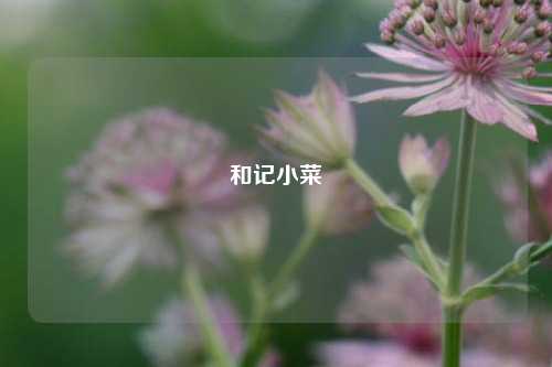 和记小菜