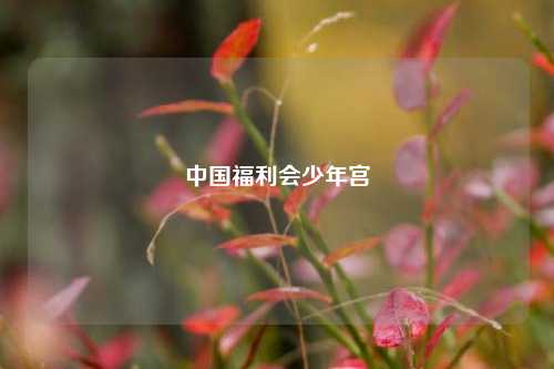 中国福利会少年宫