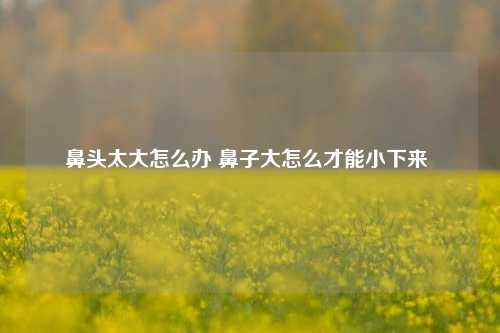 鼻头太大怎么办 鼻子大怎么才能小下来 