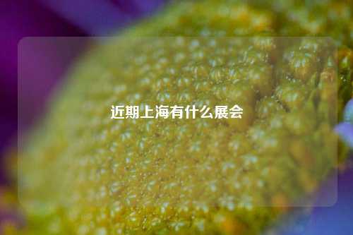 近期上海有什么展会