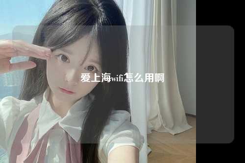 爱上海wifi怎么用啊