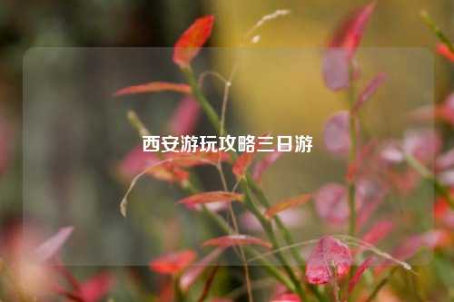 西安游玩攻略三日游