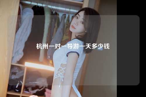 杭州一对一导游一天多少钱