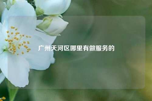 广州天河区哪里有做服务的
