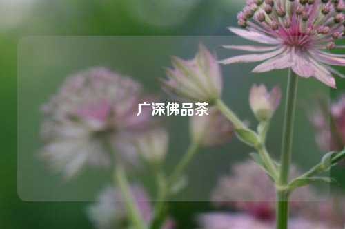 广深佛品茶