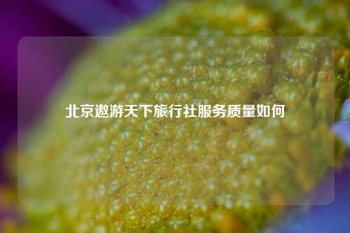 北京遨游天下旅行社服务质量如何