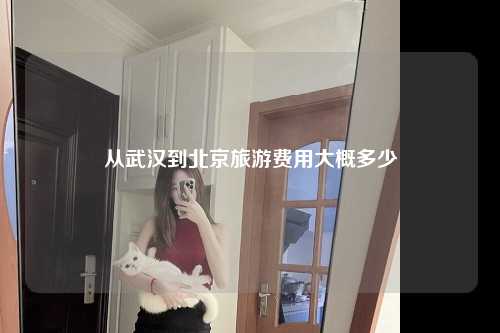从武汉到北京旅游费用大概多少