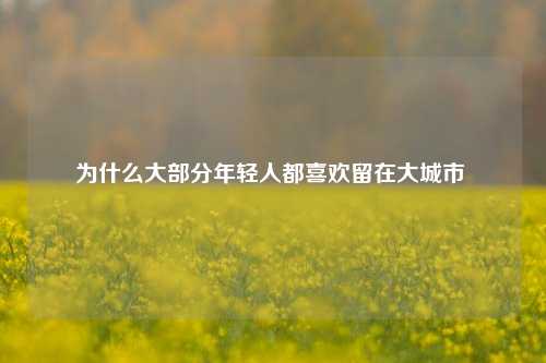为什么大部分年轻人都喜欢留在大城市 