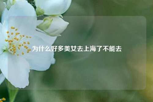 为什么好多美女去上海了不能去