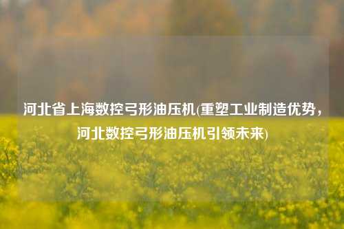 河北省上海数控弓形油压机(重塑工业制造优势，河北数控弓形油压机引领未来)