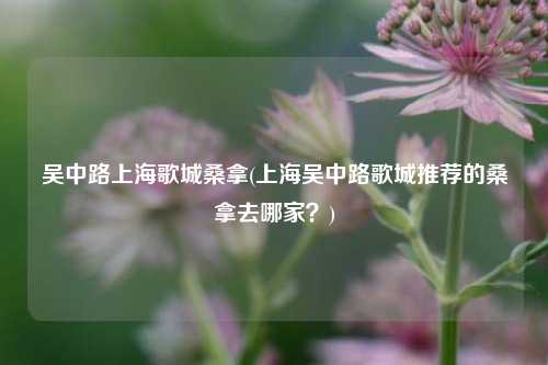 吴中路上海歌城桑拿(上海吴中路歌城推荐的桑拿去哪家？)