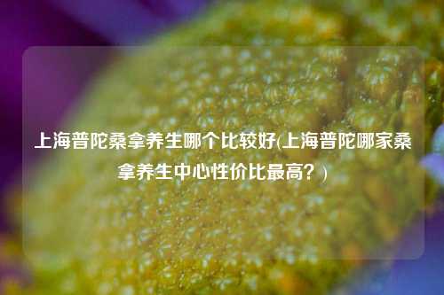 上海普陀桑拿养生哪个比较好(上海普陀哪家桑拿养生中心性价比最高？)