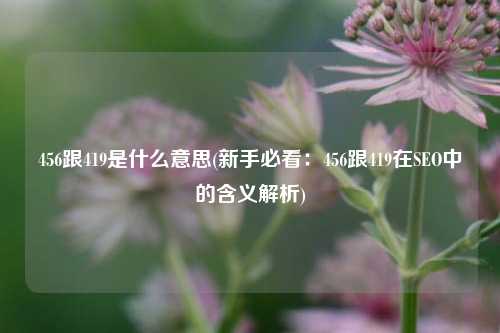 456跟419是什么意思(新手必看：456跟419在SEO中的含义解析)