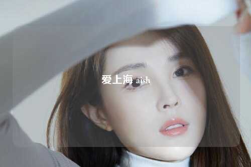 爱上海 aish