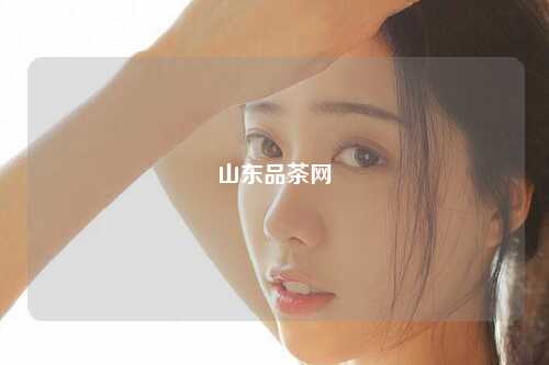 山东品茶网
