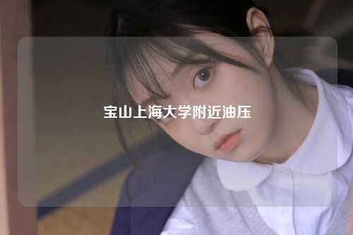 宝山上海大学附近油压