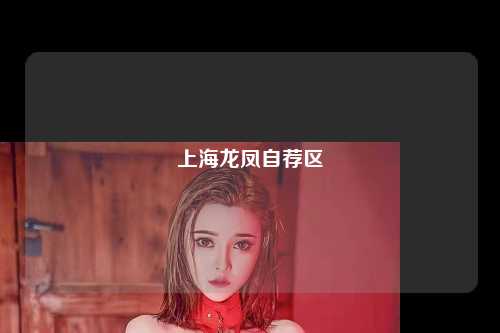 上海龙凤自荐区