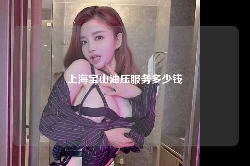 上海宝山油压服务多少钱