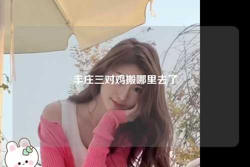 丰庄三对鸡搬哪里去了