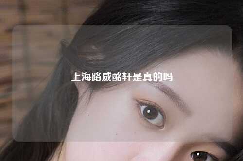 上海路威酩轩是真的吗