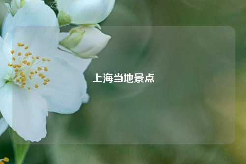 上海当地景点