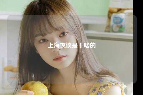上海夜谈是干啥的