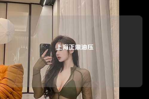 上海正鼎油压
