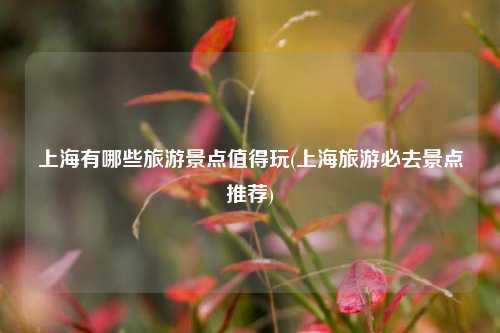 上海有哪些旅游景点值得玩(上海旅游必去景点推荐)