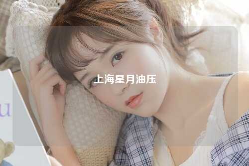 上海星月油压