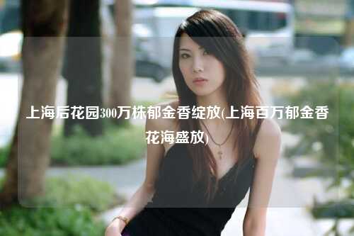 上海后花园300万株郁金香绽放(上海百万郁金香花海盛放)