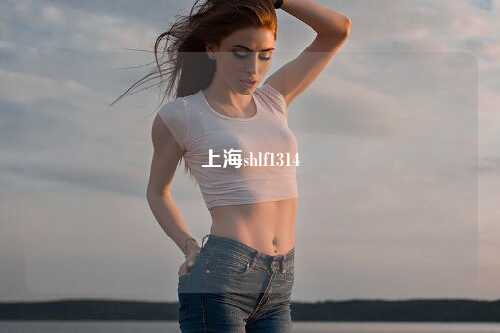 上海shlf1314