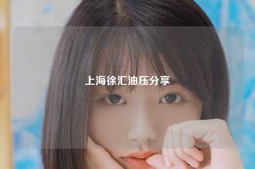 上海徐汇油压分享