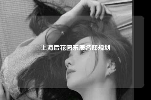 上海后花园东辰名邸规划