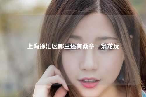 上海徐汇区哪里还有桑拿一条龙玩