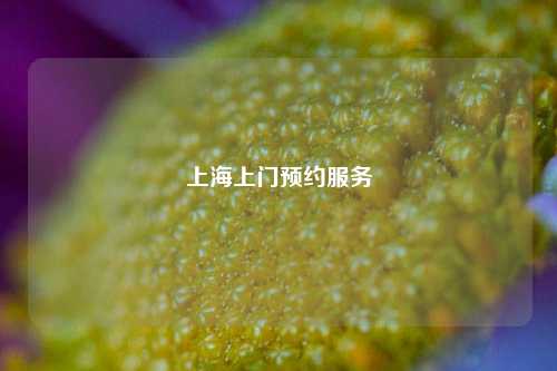 上海上门预约服务