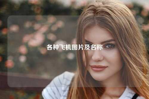 各种飞机图片及名称