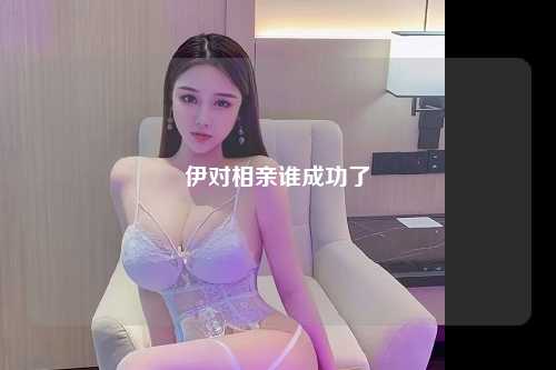 伊对相亲谁成功了