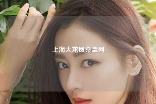 上海大龙凤桑拿网